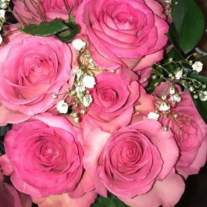 Meet your Posher, Esmeralda